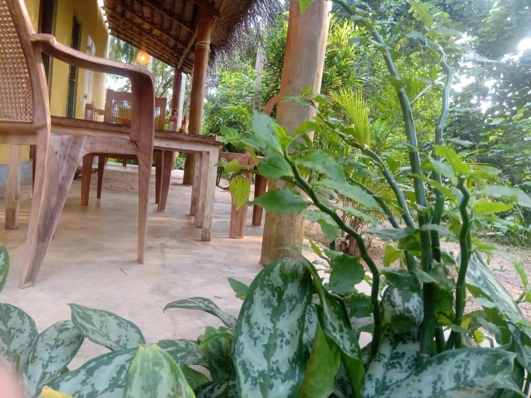 Kelaya At Hiriketiya Collection Dickwella Exterior foto