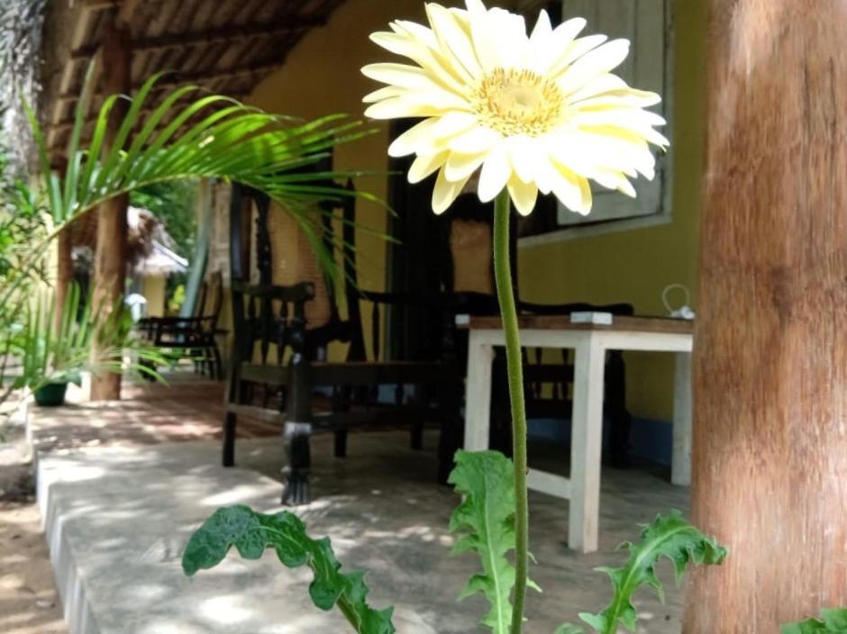 Kelaya At Hiriketiya Collection Dickwella Exterior foto